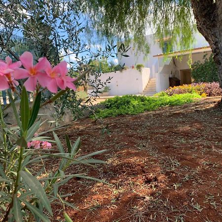 AL PEPE NERO - Casa in campagna a soli 5 minuti dal mare Polignano a Mare Esterno foto