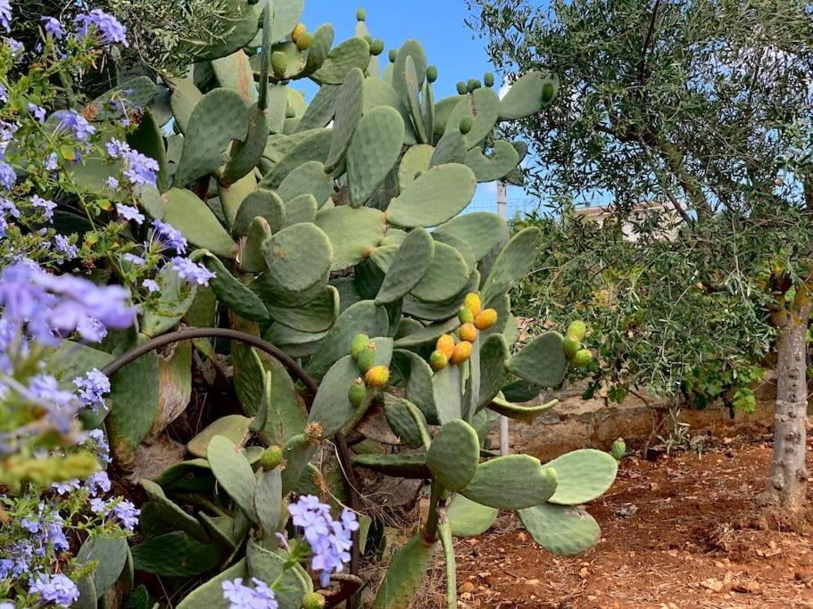 AL PEPE NERO - Casa in campagna a soli 5 minuti dal mare Polignano a Mare Esterno foto