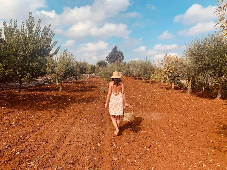 AL PEPE NERO - Casa in campagna a soli 5 minuti dal mare Polignano a Mare Esterno foto
