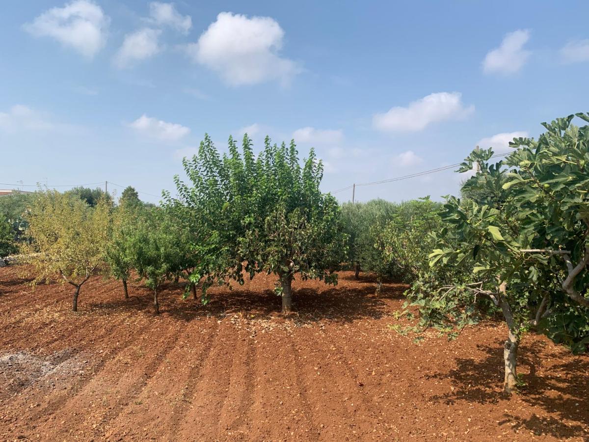 AL PEPE NERO - Casa in campagna a soli 5 minuti dal mare Polignano a Mare Esterno foto