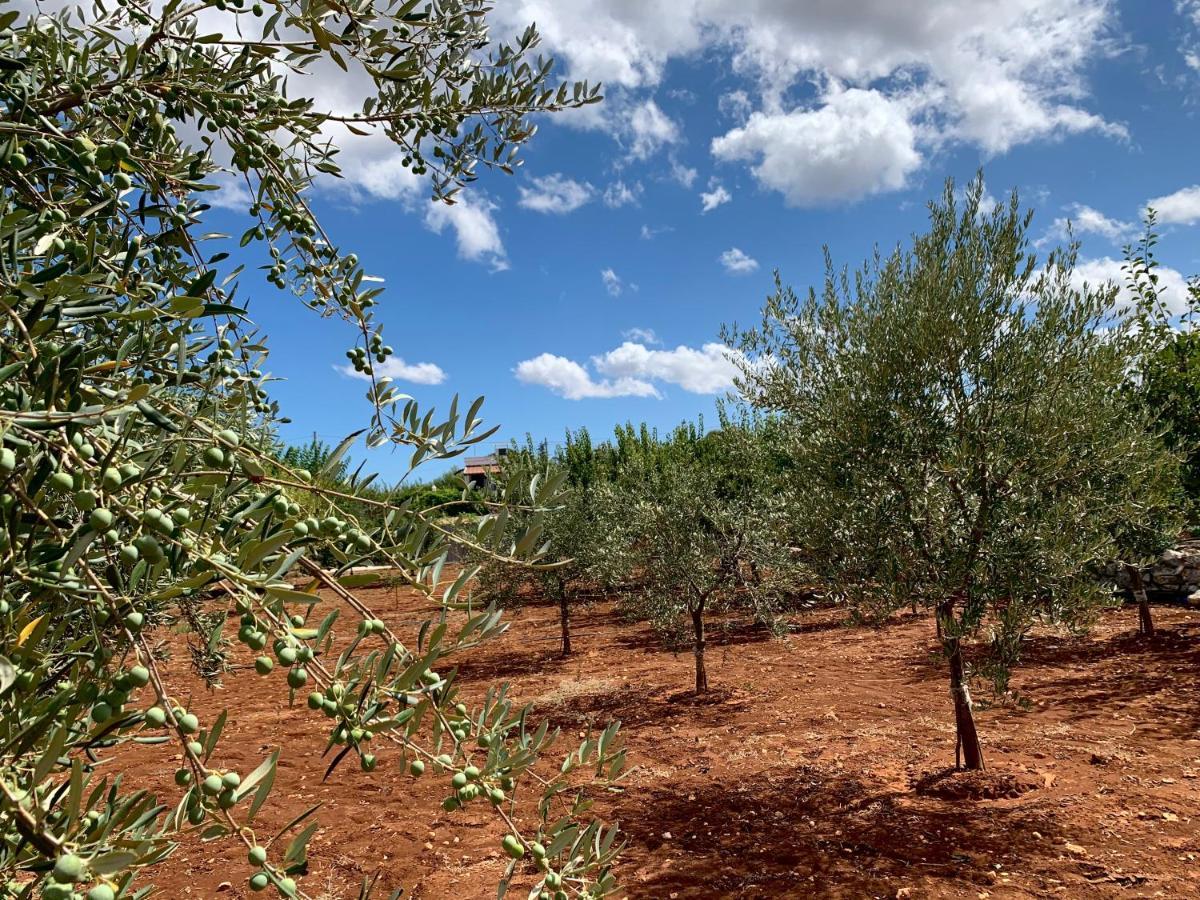 AL PEPE NERO - Casa in campagna a soli 5 minuti dal mare Polignano a Mare Esterno foto
