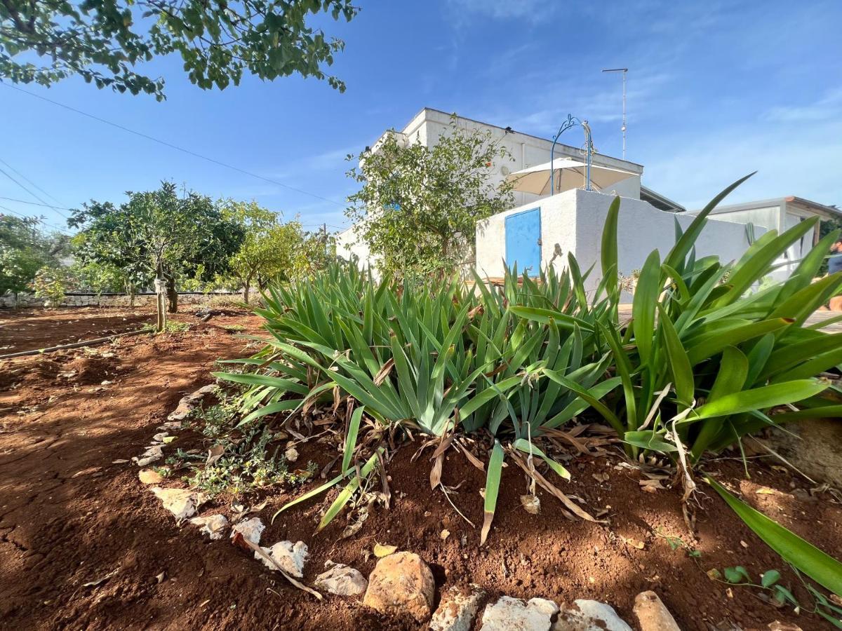 AL PEPE NERO - Casa in campagna a soli 5 minuti dal mare Polignano a Mare Esterno foto